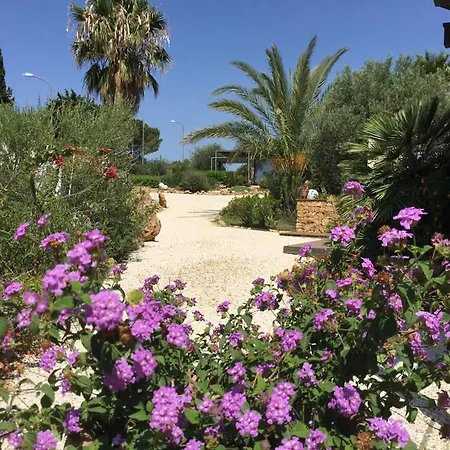 Bed & Breakfast Il Colle Del Rustico