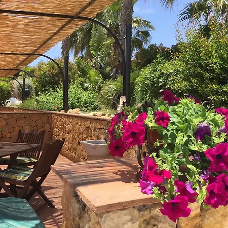 Bed & Breakfast Il Colle Del Rustico