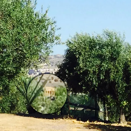 Il Colle Del Rustico Bed & Breakfast Agrigento