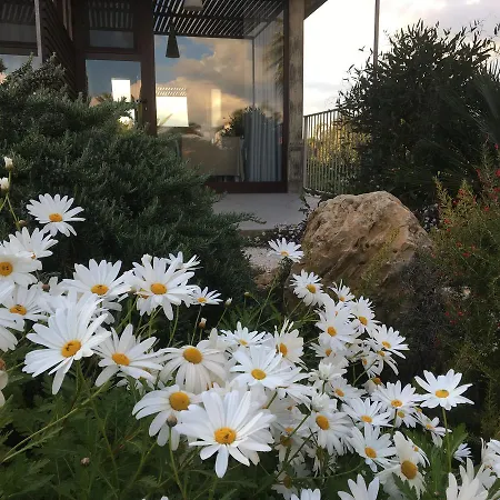Il Colle Del Rustico Bed & Breakfast