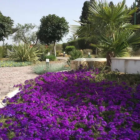 Il Colle Del Rustico Bed & Breakfast 2*